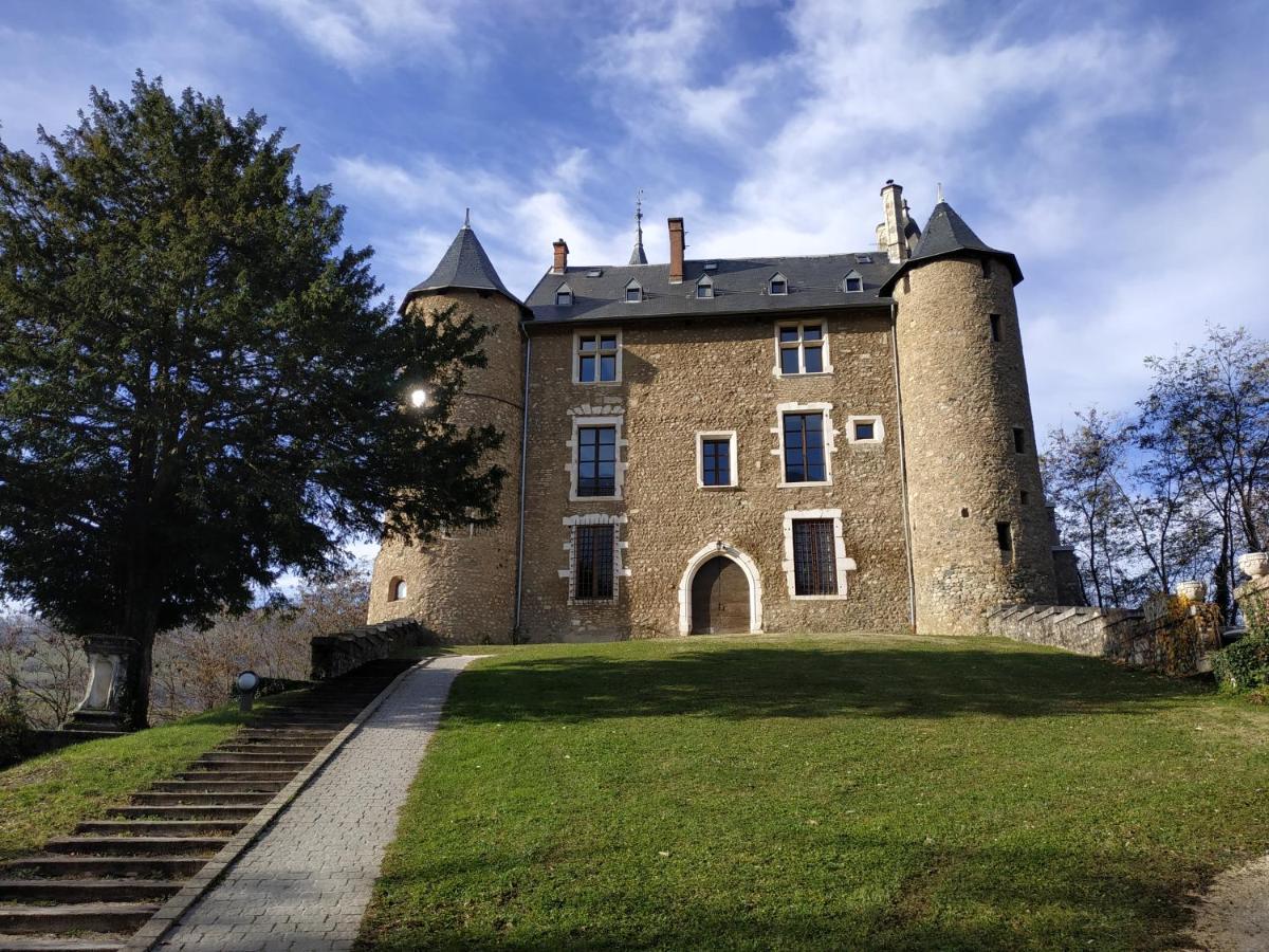 Appartement Chateau Uriage-Chamrousse Saint-Martin-dʼUriage Eksteriør bilde