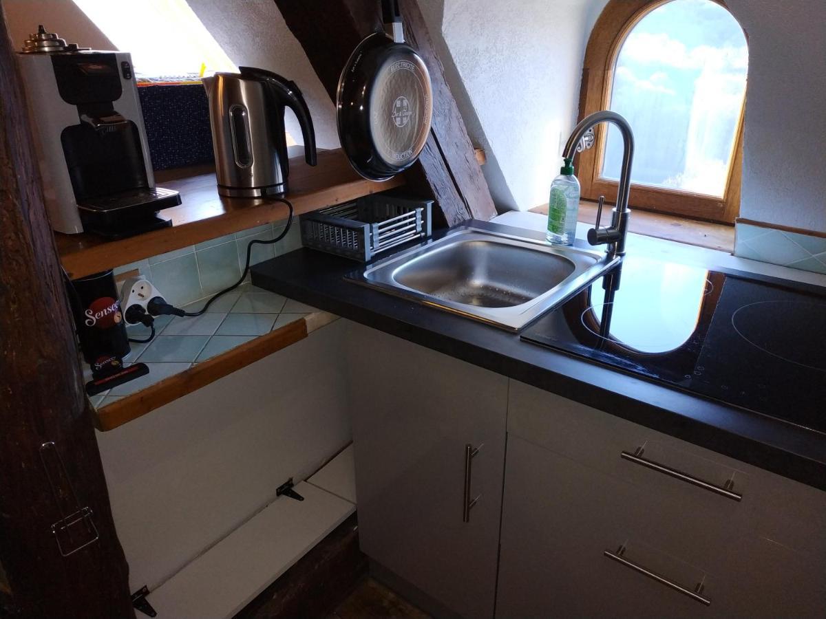 Appartement Chateau Uriage-Chamrousse Saint-Martin-dʼUriage Eksteriør bilde