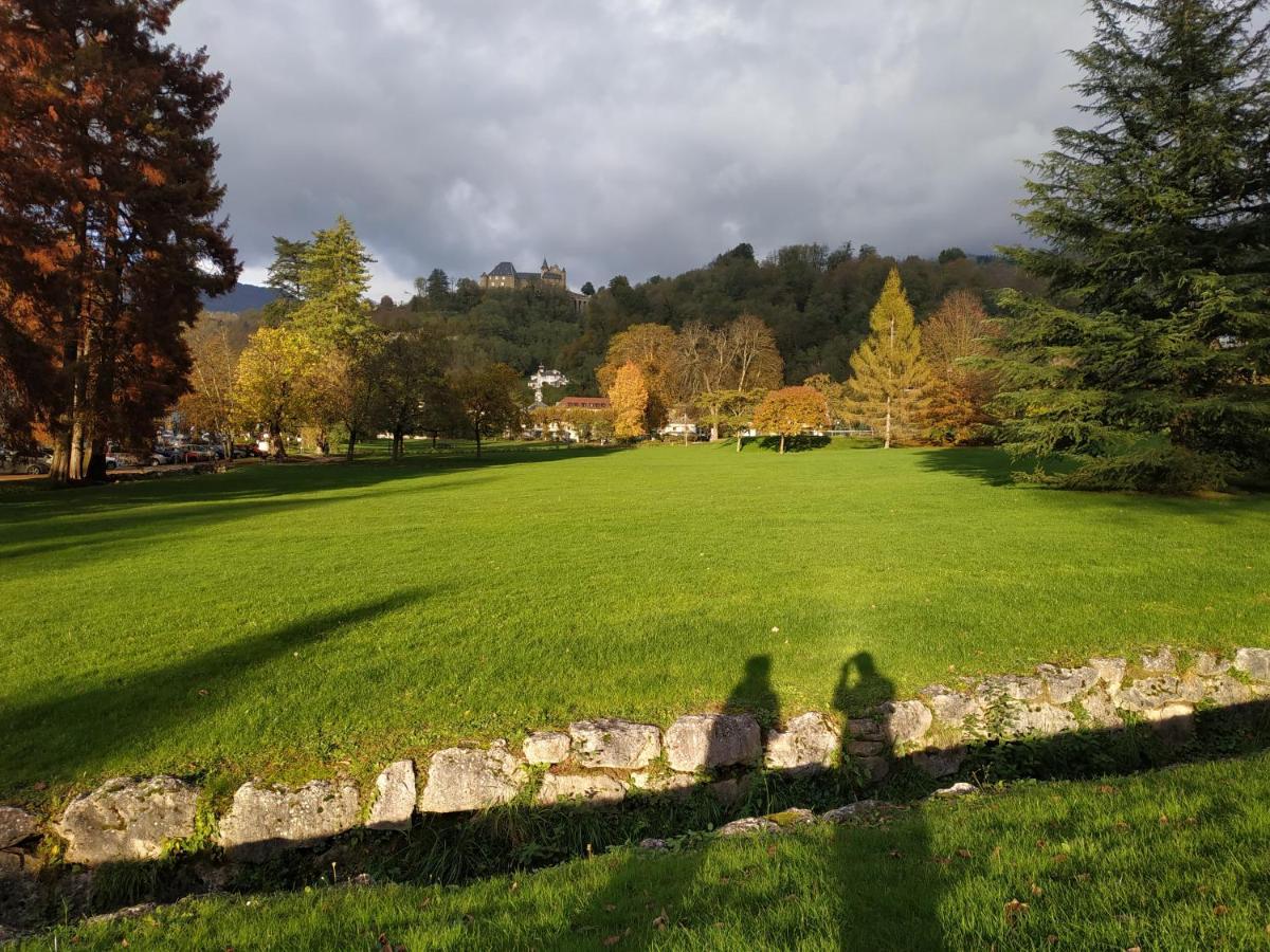 Appartement Chateau Uriage-Chamrousse Saint-Martin-dʼUriage Eksteriør bilde
